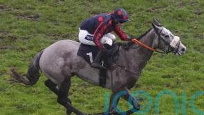 Dawson likely to resist Cheltenham with A Likeable Rogue