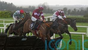 Staffordshire ties Boyne Hurdle rivals up in knots