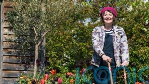 Plants which should take pride of place in your spring garden