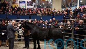 Charles reminded of his mother&rsquo;s beloved horse during visit to Clitheroe