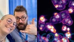 Scientist whose wife has incurable cancer creates large-scale breast cancer cell images to show &lsquo;beauty in everything&rsquo;