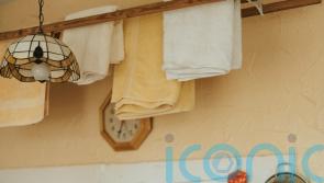 Nancy Birtwhistle: &lsquo;The cost savings of going green are tangible&rsquo;