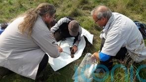 Deep soil in forests may store carbon less effectively than thought &ndash; study