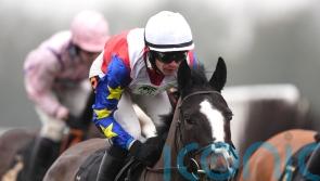 Jasmine Bliss has Pendil aim after Lady Protectress strike