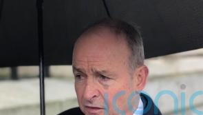 &lsquo;Five to six&rsquo; Irish citizens detained by Ice, Taoiseach says