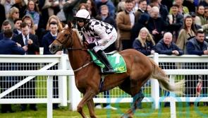 Wincanton possibility for Secret Squirrel return