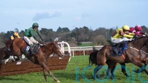 O&rsquo;Brien: Supreme assignment in sight for Talk The Talk