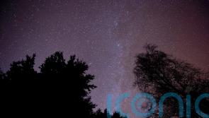 Space rocket company &lsquo;on the cusp of launches&rsquo; to appoint administrators