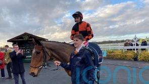 Pauling: Cheltenham still very much our aim with Diva Luna