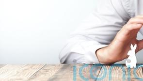 Is it possible to make vet bills less brutal?