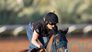 Marvelman leads European challenge for 1351 Turf Sprint in Riyadh