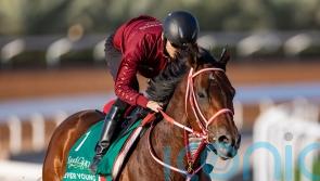 Baffert says taking on Forever Young is similar to &lsquo;King Kong versus Godzilla&rsquo;