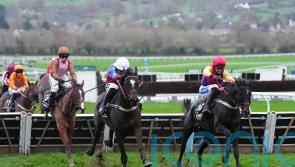 Kingwell could see Alexei book his Cheltenham ticket