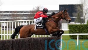 Myretown goes on trial for Cheltenham and Aintree