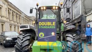 Minister &lsquo;failed&rsquo; to deal with Bord Bia issues at meeting, says IFA president