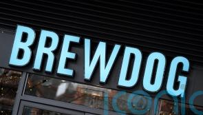 Craft beer brewer BrewDog could be broken up as sale process begins