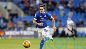 Cardiff open up four-point lead at League One summit by beating Luton