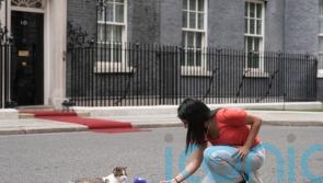 Larry the cat marks 15 years as No 10&rsquo;s chief mouser