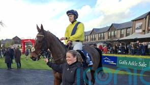 Uttoxeter could beckon for My Immortal after surprise Punchestown strike