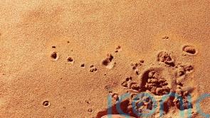 Everyday&rsquo;s a &lsquo;battle&rsquo; for sales, says 142-year-old firm betting on TikTok Shop