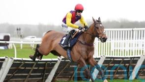 Johnson White hopes Sober Glory can provide him a landmark Cheltenham success