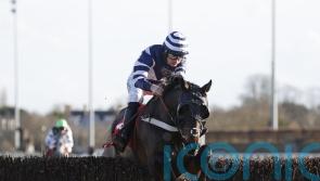 Reigning champion Katate Dori heads Ladbrokes Trophy field