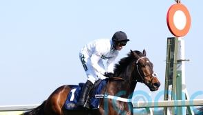 Constitution Hill Southwell hopes boosted