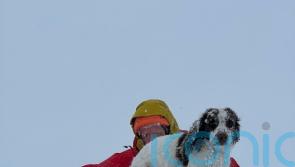 Rescuers find dog after night on freezing Highlands mountainside