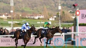 Its On The Line again for Cheltenham hunter chase stalwart