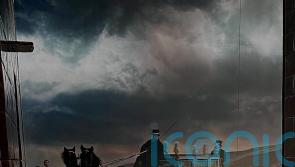 Horse-drawn carriage from Wuthering Heights film listed for sale on Autotrader