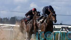 Constitution Hill only the latest racing great to grace Southwell