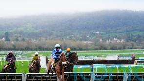 One Horse Town bidding to warm up for Triumph with Adonis glory