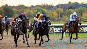 Safari swoops late for Winter Derby honours