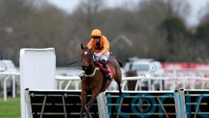 La Luna Artista does Williams proud in Adonis triumph