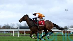 Klub De Reve takes flight in Dovecote