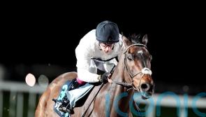 Michael Buckley has Melbourne Cup dream for Constitution Hill