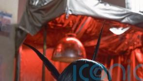 &lsquo;Glass hair&rsquo; among the key beauty trends to emerge from London Fashion Week