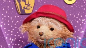 Paddington covers Bafta in marmalade as he presents &lsquo;sticky&rsquo; trophy