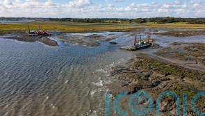 Harbour-dredged mud used for &lsquo;remarkable&rsquo; restoration of protective saltmarsh