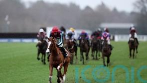 Punchestown calling for Windbeneathmywings, says Pipe