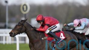 Arkle beckons for Pendil winner Jax Junior