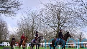 Nicholls not envying Henderson call, as he readies Tutti Quanti for Cheltenham