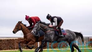 No Drama This End continuing to delight in Festival preparation