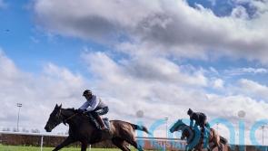 Henderson confident he has big guns firing for opening day of Cheltenham