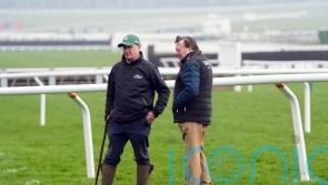 Cheltenham confident Trials day issues will not resurface