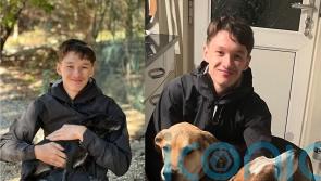 Teenager hailed as hero at inquest after dying in bid to save friend