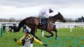 The New Lion favourite as Champion Hurdle picture is shaken up