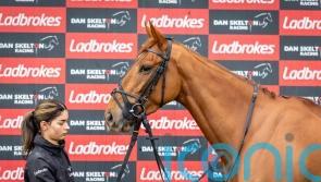 Maestro Conti and Panic Attack exciting Skelton