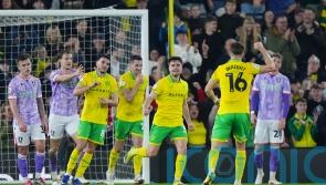 Sheffield Wednesday&rsquo;s misery compounded by defeat at Norwich