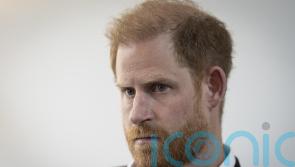 Duke of Sussex calls for aid corridors to be opened in Gaza